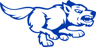 21 teamsite emb coyote