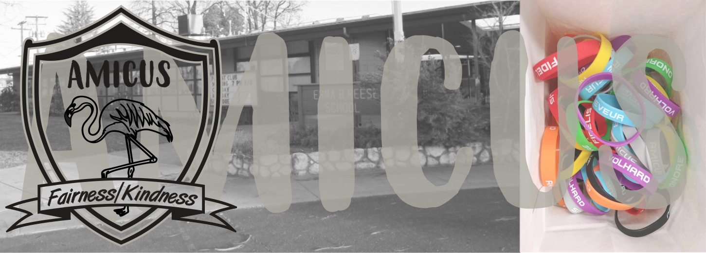 Reese Elementary House 21 House Apparel v4