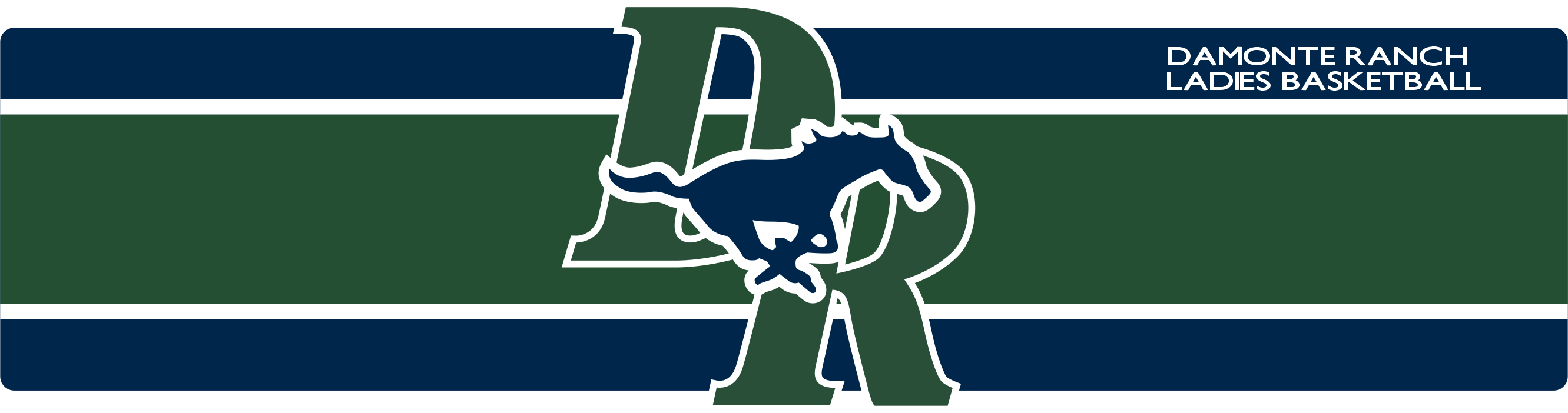 Damonte Ranch High School Girls Basketball 2023 GIRLS BBALL SWAG